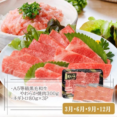 定期便【3回配送】枕崎お楽しみ便(A5黒毛和牛・黒豚ハンバーグ・かつお丼)LL-6037【配送不可地域：離島】