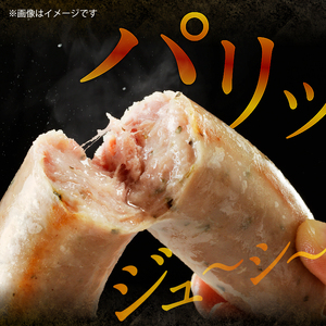 ＜2025年12月発送＞ウインナー・ソーセージ業務用詰合せセット　総重量約1.4kg  詰め合わせ 4種類 60本 業務用 シポラタウインナー 粗挽き チョリソー 大葉 バーベキュー キャンプ パーテ