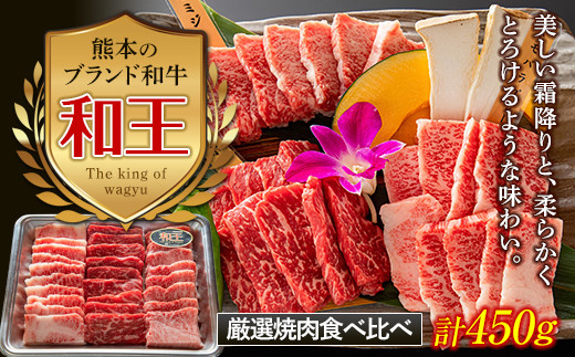 
FKK19-533 熊本和王 厳選焼肉食べ比べセット 450g
