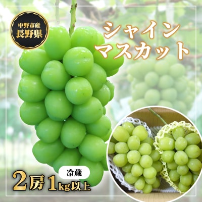 長野県中野市産　冬でも食べれる　シャインマスカット2房(1.0kg以上)【配送不可地域：離島】【1331129】