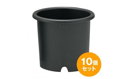菊鉢10号　10個セット
