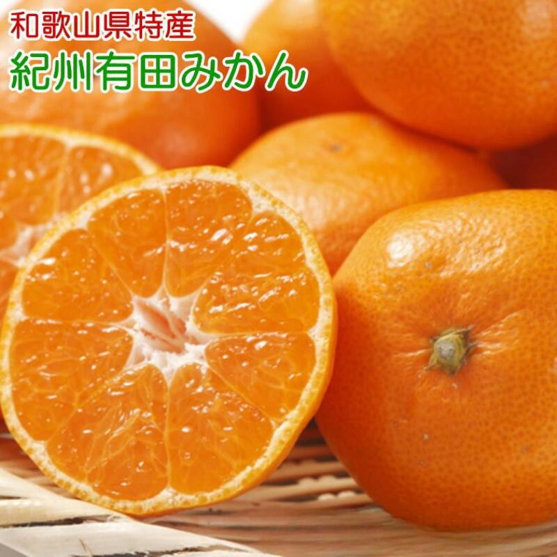 【ふるさと納税】[秀品]和歌山有田みかん約5kg【サイズが選べる！】(SサイズまたはMサイズのいずれか) /(MまたはLサイズのいずれか) ※2025年11月中旬～2026年1月中旬頃順次発送［TM98］ | 納税 取り寄せ お取り寄せ フルーツ ご当地 みかん ミカン 蜜柑 柑橘類