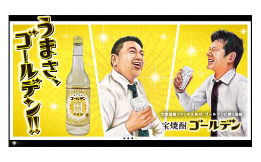 BE175宝焼酎「ゴールデン」25度 360ml✕12本入