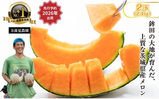 
            【来年2026年】先行予約！茨城県鉾田市産 むつみレッドメロン メロン めろん 2玉（1.2kg以上×2）｜方波見農園 《安心安全栽培》上品な甘さ 絶品 産地直送 赤肉 高級 おすすめ 人気 BMW農法 ジューシー 旬 大きい 甘い 国産 フルーツ 果物 ギフト プレゼント 贈り物
          