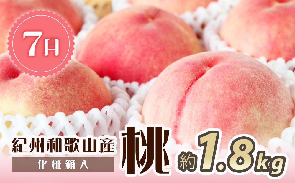 【7・8・10月 全3回】紀州和歌山産旬のフルーツセット（桃・ピオーネ・ひらたねなし柿）定期便 【魚鶴商店】【UT67】