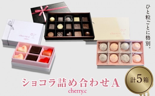 cherry.ｃ ショコラ 詰め合わせA[ チョコレート スイーツ ギフト ][024-a007_A]