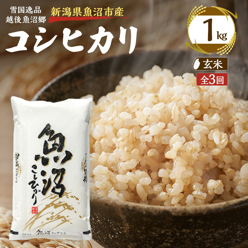 【ふるさと納税】【定期便：雪国逸品 玄米1kg×3ヶ月】越後魚沼郷 魚沼産コシヒカリ