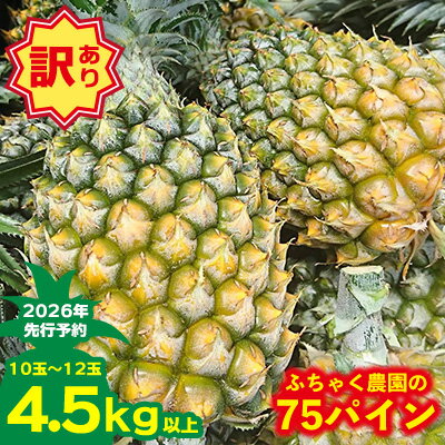 【ふるさと納税】【2026年先行予約】【訳あり】ふちゃく農園の75パイン4.5kg以上 パイン パイナップル パインアップル スナックパイン 沖縄県産パイン フルーツ 南国フルーツ トロピカルフルーツ 沖縄フルーツ 果物 くだもの 果実 デザート 甘い 人気 プチギフト 産地直送