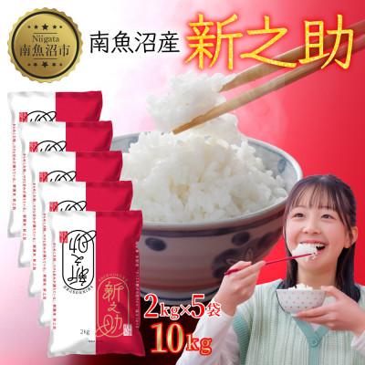 ふるさと納税 南魚沼市 【令和7年産】南魚沼産 新之助 2kg×5袋 計10kg 精米 新潟県 南魚沼市