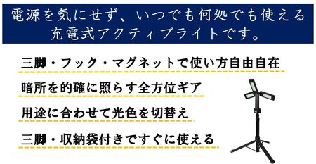 LEDライト充電式アクティブライト ズミー (ZMI)｜アウトドア カーメンテナンス 軽作業 キャンプ ソロキャンプ 屋外作業 充電式 防災 災害 お仕事 ライト 全方位 [0410]