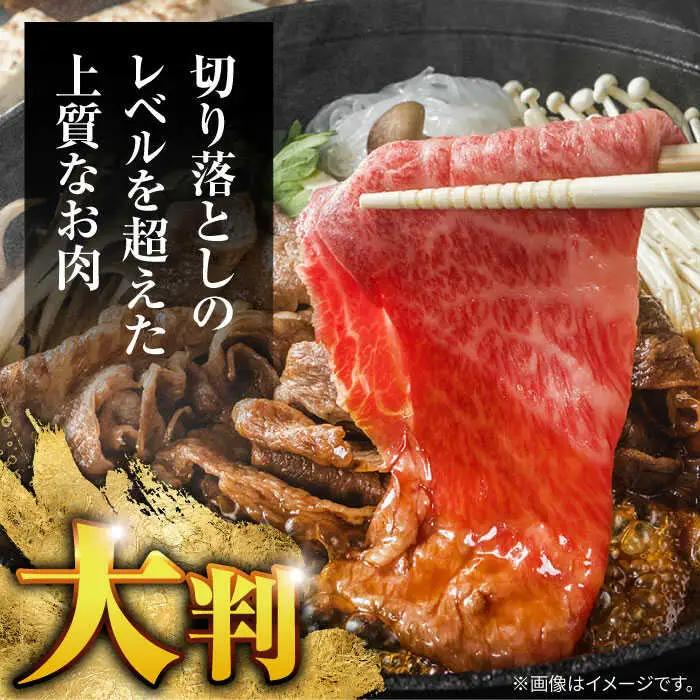 【6回定期便】長崎和牛 A5 赤身 切り落とし(モモ・バラ) 500g(250g×2) / 牛肉 和牛 モモ もも バラ バラ肉 すき焼き A5ランク 小間切れ / 諫早市 / 野中精肉店 [AHCW
