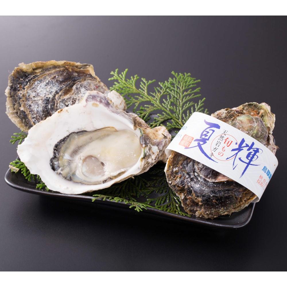 【ふるさと納税】鳥取賀露港 天然岩がき「夏輝」セット【かねまさ・浜下商店】 | カキ 岩牡蠣 期間限定