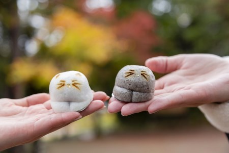 【京都・丹後の生菓子】猫 NEKO-NO-EN(ねこのえん)と季節の上生菓子10ヶ入セット　～金刀比羅神社内の狛猫にちなんだ和菓子～