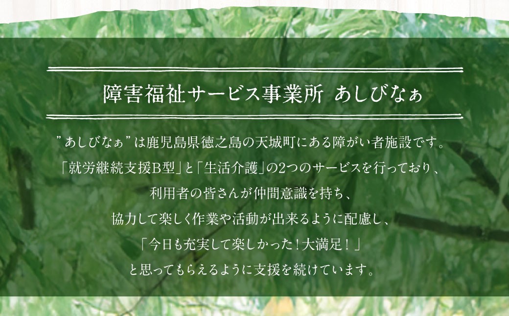 天城町産 月桃茶 計18パック （ 3パック × 6袋 ） 