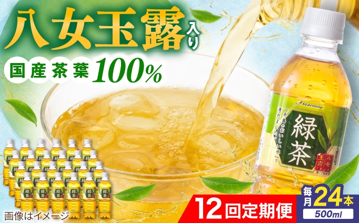 
                  【全12回定期便】八女 玉露入り 緑茶 500ml × 24本  糸島市 / スターナイン お茶 ペットボトル [ARM017]
                