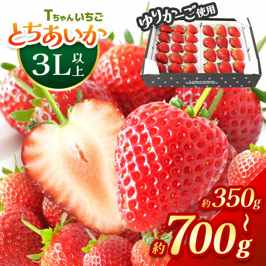 【ふるさと納税】とちあいか 3L以上ホール詰め 訳あり 350g 700g 選べる 定期便 3回＜ 発送期間：1月上旬～3月下旬 or 4月以降＞ ｜ いちご 苺 イチゴ ストロベリー フルーツ 甘い あまい 人気 おいしい スイーツ ご褒美 果物 名産品 栃木県 真岡市
