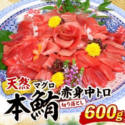 ふるさと納税 室戸市 【遠洋漁船高豊丸漁獲】天然本マグロ(赤身・中とろ)切落し600g　訳あり 魚介類加工品 15000円