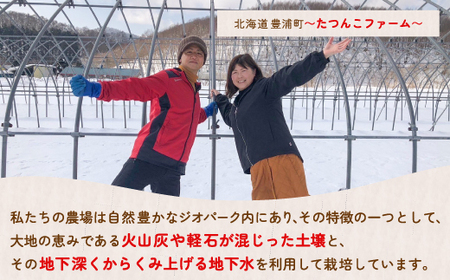  【2025.4月以降順次出荷】【北海道内限定配送】いちご「けんたろう」250g×4パック 【 ふるさと納税 人気 おすすめ ランキング 果物 いちご苺 イチゴ 国産いちご 国産苺 けんたろう セット