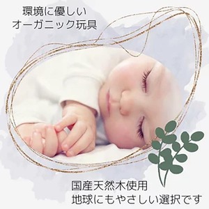  おもちゃ 木製立体知恵の輪（小）親子で遊べる知恵の輪 木のおもちゃ