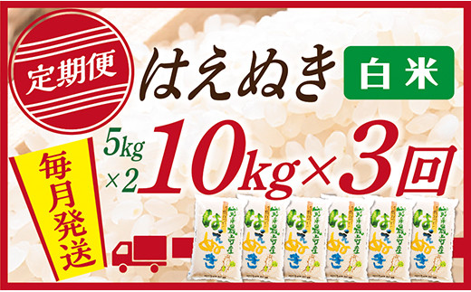 
            【定期便】【白米】 山形県産 はえぬき 10kg (5kg×2)  3回配送
          