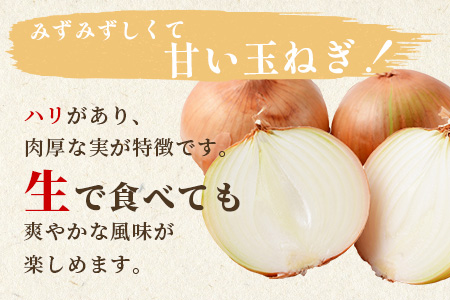 【先行予約】熊本県産 玉ねぎ 5kg (16玉前後) ≪2026年4月下旬から順次発送≫ 玉葱 野菜 数量限定 JAS たまねぎ オニオン 甘い ハンバーグ 肉じゃが 065-0636