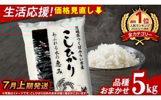 【 7月上期発送 / 数量限定 】茨城県つくばみらい市産 精米 5kg (品種おまかせ） 令和6年産 こしひかり 米 コメ こめ 単一米 限定 茨城県産 国産 美味しい お米 おこめ おコメ