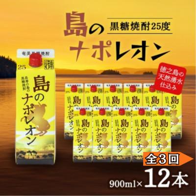 ふるさと納税 伊仙町 【毎月定期便】奄美黒糖焼酎 島のナポレオン 900ml 紙パック 12本セット全3回