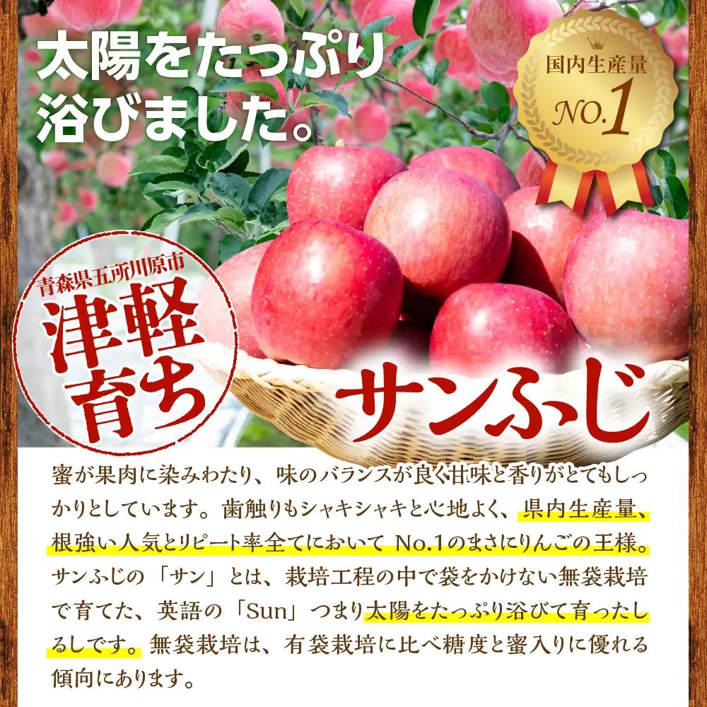 【2026年11月下旬発送】 青森りんご 約3kg サンふじ 《訳あり》 りんご
