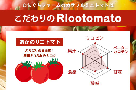 【3回定期便】【先行受付】2027年1月より順次発送予定【少量パック】完熟ミニトマト 360g (120gx3p) | トマト プチトマト 野菜 農家直送 ギフト 人気 佐賀県鹿島市 たにぐちファーム