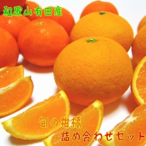 【先行予約】旬の柑橘詰め合わせセット（ご家庭用）約3kg ｜ フルーツ ふるーつ 果物 くだもの 詰め合わせ オレンジ みかん レモン 国産 産地直送 美浜町 ※2026年1月中旬～4月下旬頃に順次発送予定 ※北海道・沖縄・離島への配送不可