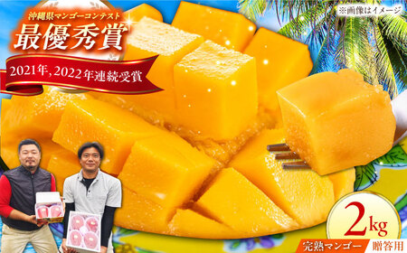  【贈答用】最優秀賞受賞！完熟アップルマンゴー2kg マンゴー 沖縄市 / 仲村農園 マンゴー マンゴー マンゴー マンゴー マンゴー[BCCU001]