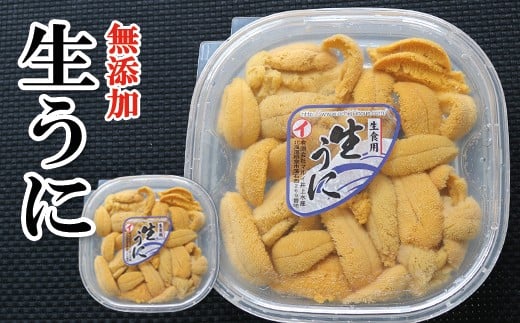 
            D-40001 ムラサキウニ塩水パック100g×4P[7月中旬以降発送]
          