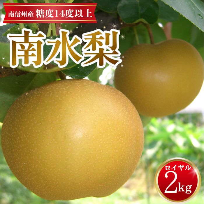 【南信州産】南水梨約2kg 5～6玉入り 糖度14度以上 ＜9月中旬より発送＞