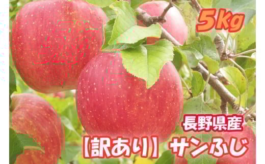 
            MS17-25A りんご サンふじ（長野県産訳あり品） 約5kg / 2026年1月上旬～2月上旬頃 配送予定 // 長野県 南信州 さんふじ サンフジ ふじりんご 訳あり 訳アリ 家庭用 自宅用 リンゴ 林檎 ふじ
          