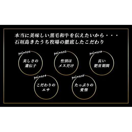 特製レトルトビーフシチュー 5個【総重量1.1Kg】 AM-20