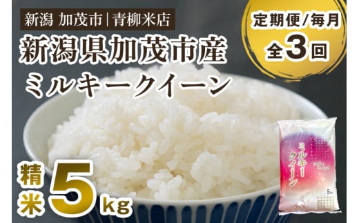 【令和6年産新米先行予約】【定期便3回毎月お届け】新潟県央地区 ミルキークイーン 精米5kg 新潟米 新潟産 お米  白米 加茂市 青柳米店