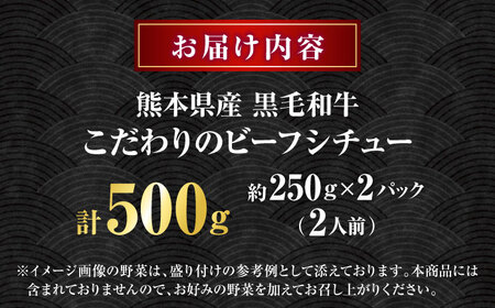 熊本県産 黒毛和牛 こだわりのビーフシチュー 計2パック （約250g×2パック） ビーフシチュー ビーフ シチュー 牛肉 肉 　【有限会社スイートサプライなかぞの】[ZBV107]
