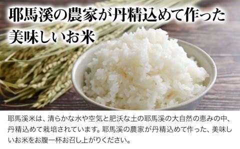 宝来軒まんぷくセット 中津の宝来軒ラーメ ン5食 と 耶馬溪産 米 1kg | ラーメン 豚骨 醤油ラーメン お米 米 こめ ご飯 セット 宝来軒 大分県 中津市