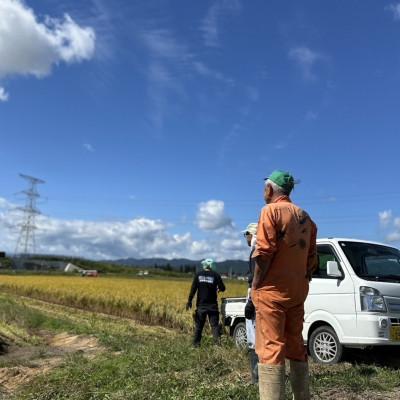 ふるさと納税 川西町 【令和7年産】 山形県産【雪若丸】精米 20kg(20kg×1袋) |  | 03