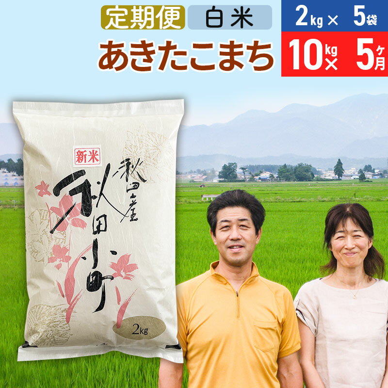 【ふるさと納税】《定期便5ヶ月》令和7年産 あきたこまち特別栽培米10kg（2kg×5袋）×5回 計50kg【白米】秋田県産あきたこまち 5か月 5ヵ月 5カ月 5ケ月 秋田こまち お米 秋田
