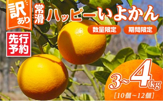 【先行予約】【訳あり】常滑ハッピーいよかん 3～4kg（10個～12個）｜果物 フルーツ 柑橘 伊予柑 イヨカン みかん 訳あり ご家庭用 数量限定 愛知県 常滑市 知多半島