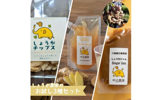 しょうが農家のしょうがチップス・しょうがのジャム・ジンジャーシロップお試しセット  生姜 しょうが ジンジャー 八街しょうが 八街産しょうが 国産しょうが