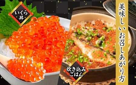 【全2回定期便】ニッスイ  北海道秋鮭いくら醤油漬け 200g × 2回 （合計 ： 400g） いくら イクラ 醤油漬け 魚卵 魚介 魚介類 北海道産 国産 北海道 小樽市 冷凍