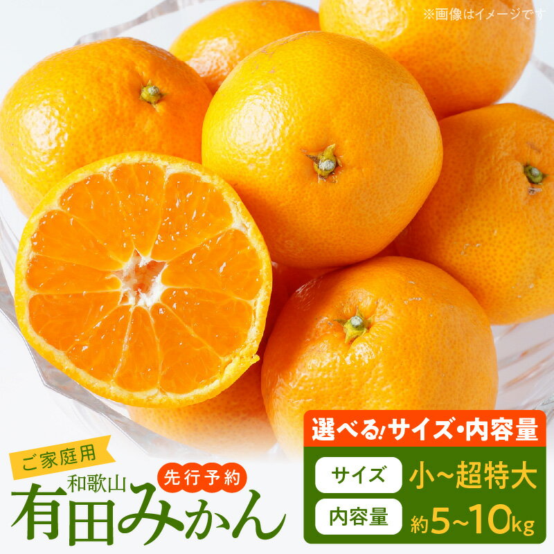 【ふるさと納税】【2025年先行予約】【限定】 【TVで紹介されました】高評価　ご家庭用　有田みかん 選べる サイズ 内容量 2S~3L 約 5~10kg サイズ混合 温州みかん 柑橘 果物 果実 フルーツ 甘味 酸味 バランス 人気 期間限定 グルメ お取り寄せ グルメ 和歌山県 湯浅町