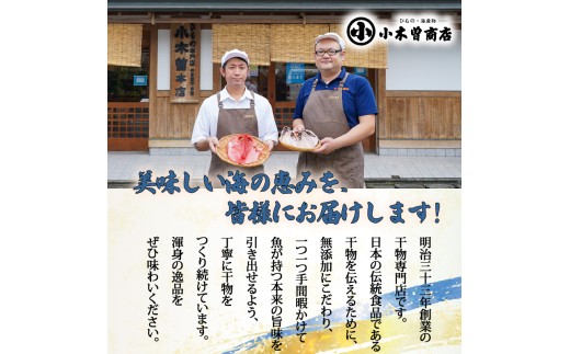 干物 詰合せ Aセット 3種 11枚 定期便 2ヶ月 2回 あじ さば 味醂干し 魚 ギフト 保存料 化学調味料 無添加 干物専門店 小木曽商店 静岡県 下田市 伊豆