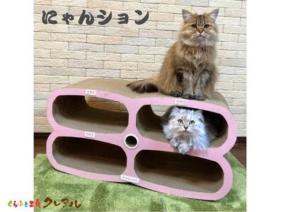 猫の爪とぎ　にゃんション（部屋番号付） 猫 ねこ ネコ キャット cat 爪とぎ ダンボール 段ボール かわいい マンション 多頭飼い 4部屋 写真映え 丈夫 日本製 国産 おもちゃ ペット インテリア 愛猫 動物 猫用品 猫用玩具 グッズ 愛猫へプレゼント ペット用品 愛知県 常滑市