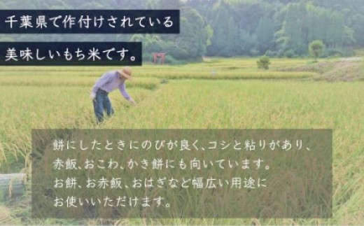 【最短2～7営業日出荷】令和7年産 千葉県産「もち米」10kg（5kg×2袋） A010