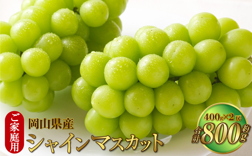 
                  ご家庭用 岡山県産 シャインマスカット 晴王 約800g（400g×2房） 【2026年8月下旬～11月下旬迄発送予定】 果物 くだもの フルーツ ぶどう ブドウ 葡萄 マスカット
                
