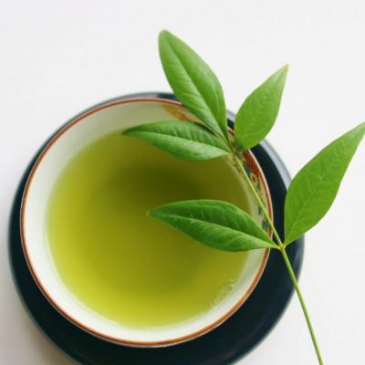 ふるさと納税 太宰府市 八女茶【上】煎茶セット　100g×2袋(太宰府市) |  | 02