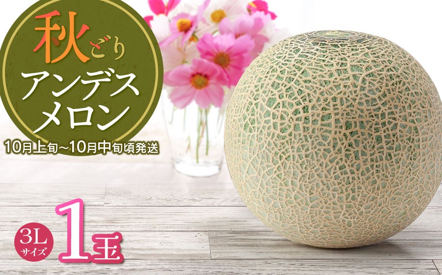 
                  【令和8年産】 秋どりアンデスメロン 1玉（3Lサイズ） 山形県鶴岡市産 庄内砂丘メロン　小林ファーム　| メロン めろん 秋採り 秋収穫 秋メロン フルーツ 果物 くだもの デザート 産地直送 山形 鶴岡 庄内 庄内産 東北 人気 おすすめ 美味しい 贈答 国産 お取り寄せ 返礼品
                